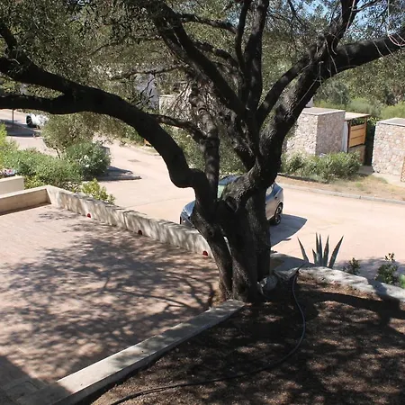 6 Posti Letto A 5 Minuti Dalla Appartement